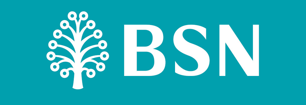 BSX