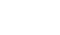 The Organiser Logo